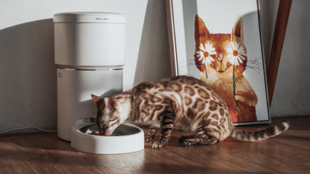 Space Automatic Pet Feeder