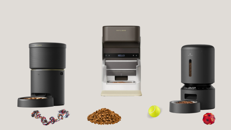 The Best Automatic Pet Feeders for 2024