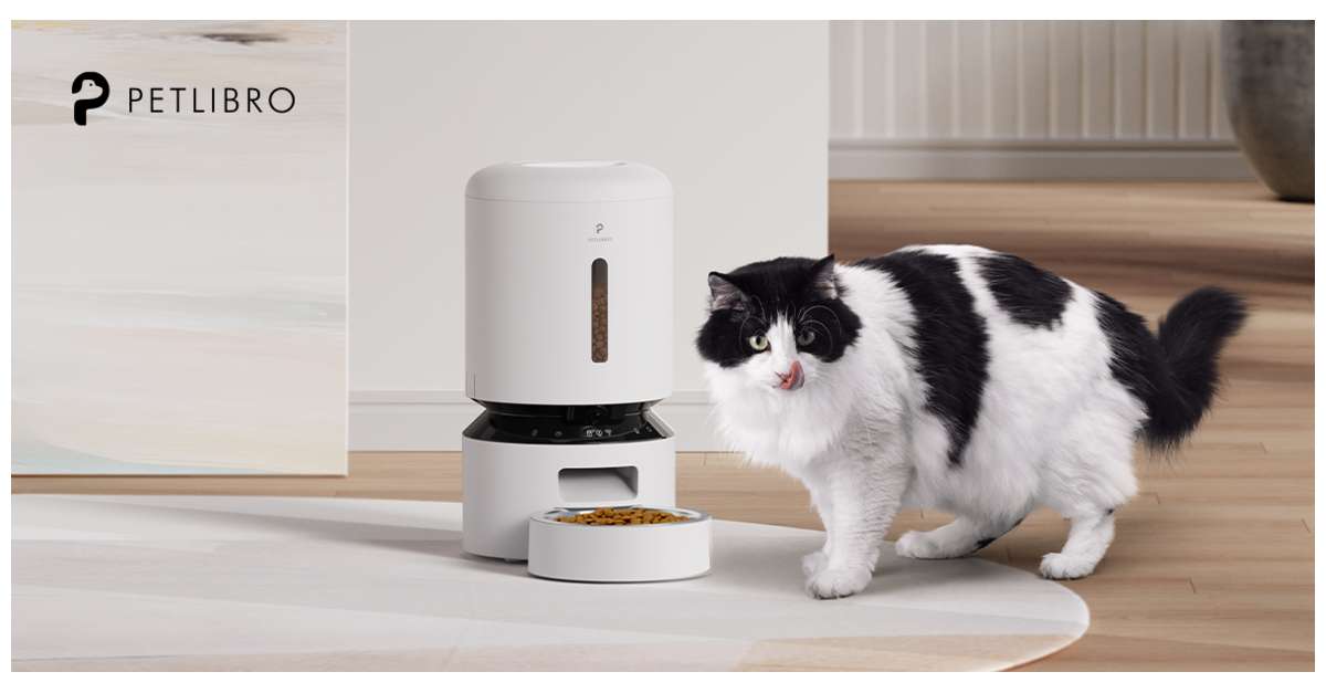 use automatic pet feeder