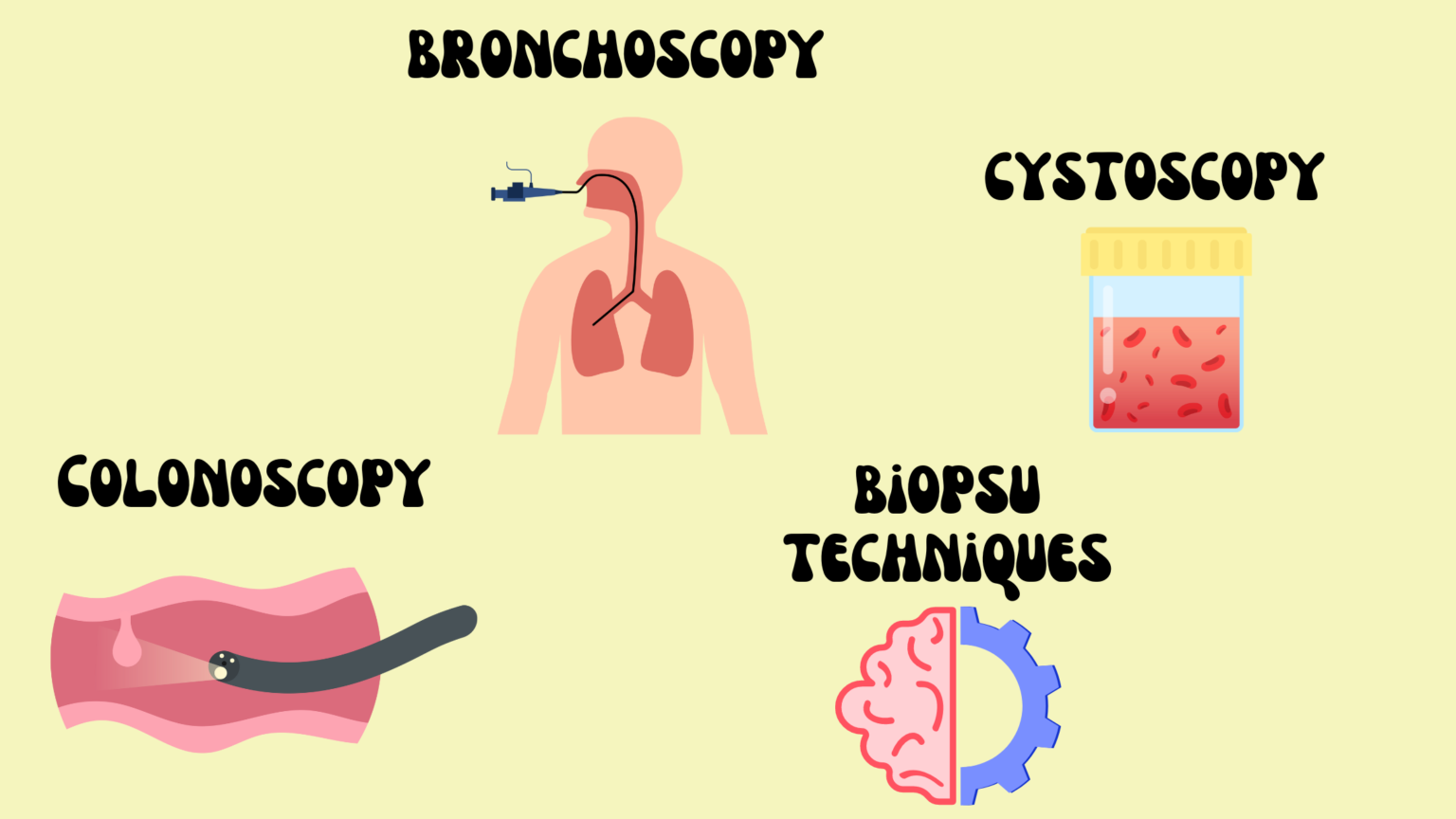 Endoscopy and Biopsy Procedures