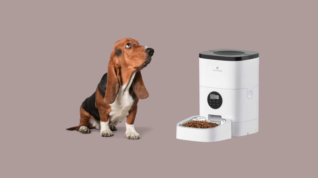 Petlibro Automatic Cat Feeder