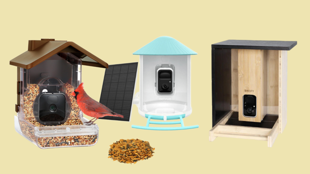 The Best Smart Bird Feeders