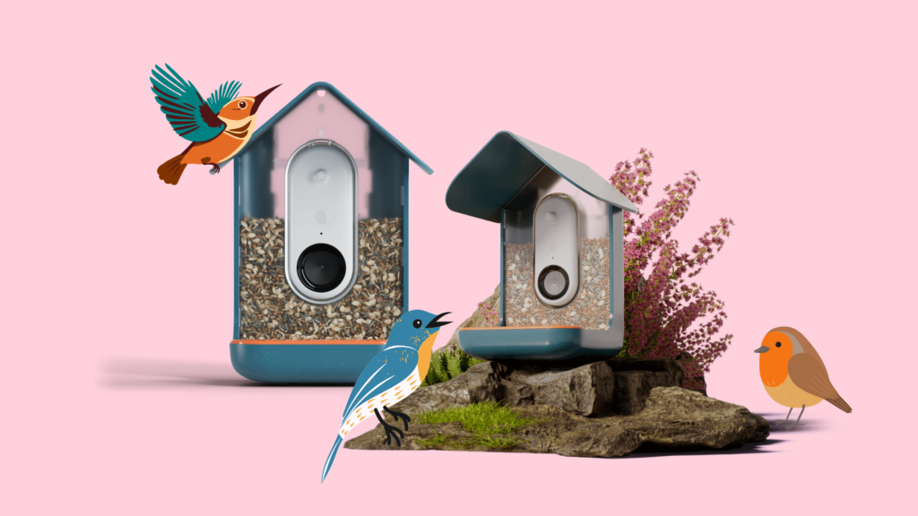 smart bird feeders