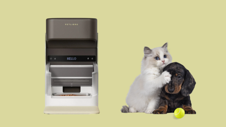 Petlibro One Rfid Review (Cat Automatic Feeder)